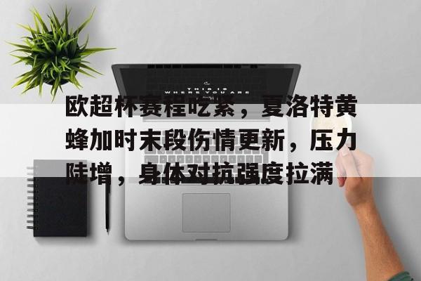 欧超杯赛程吃紧，夏洛特黄蜂加时末段伤情更新，压力陡增，身体对抗强度拉满的简单介绍-半岛体育APP